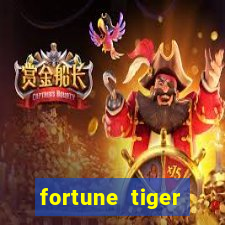 fortune tiger cassino pix